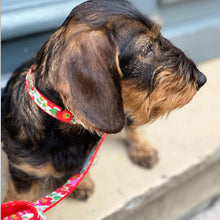 Laisse pour chien Liberty of london
