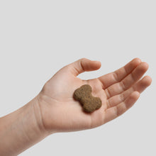 Friandise relaxante pour chien 