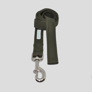 Laisse pour chien