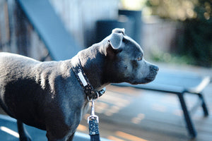 THELMA