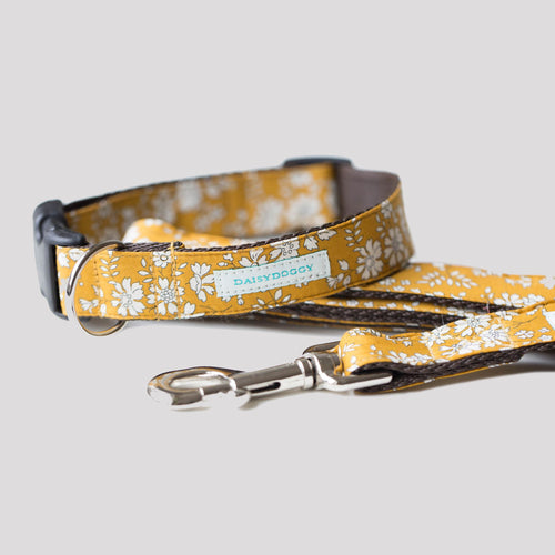 Collier pour chien Liberty